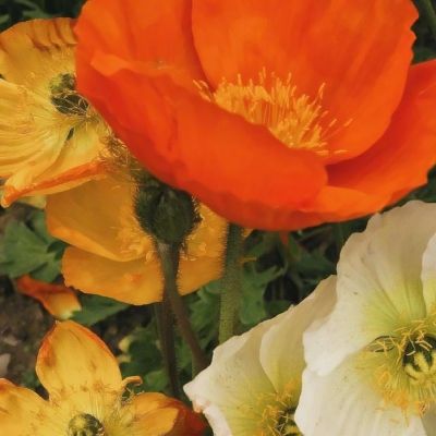 leyu乐鱼·体育手机app下载截图