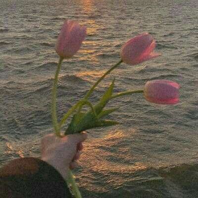 梭哈游戏下载手机app下载