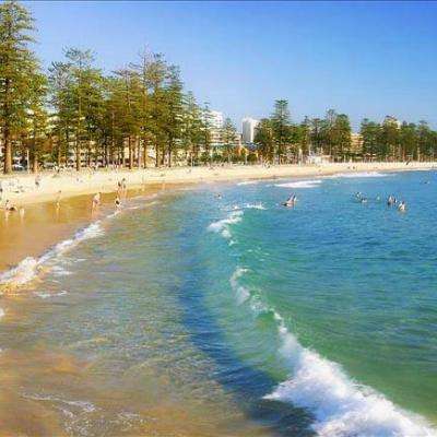 bte365真正的网站