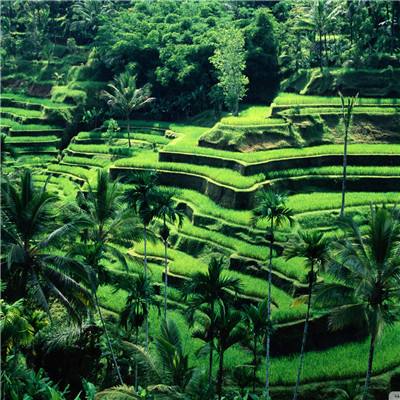 星空app官方版app下载截图