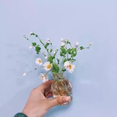 梭哈游戏下载手机app下载