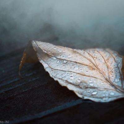 竞彩足球app官方